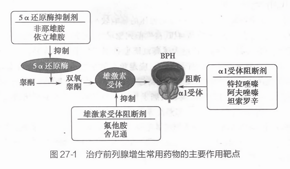 治療前列腺增生的藥物，理解選擇與應(yīng)用的重要性，前列腺增生治療藥物的選擇與應(yīng)用，理解其重要性