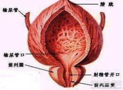 如何按摩男性前列腺，一種健康護(hù)理的指南，男性前列腺按摩指南，健康護(hù)理的秘訣