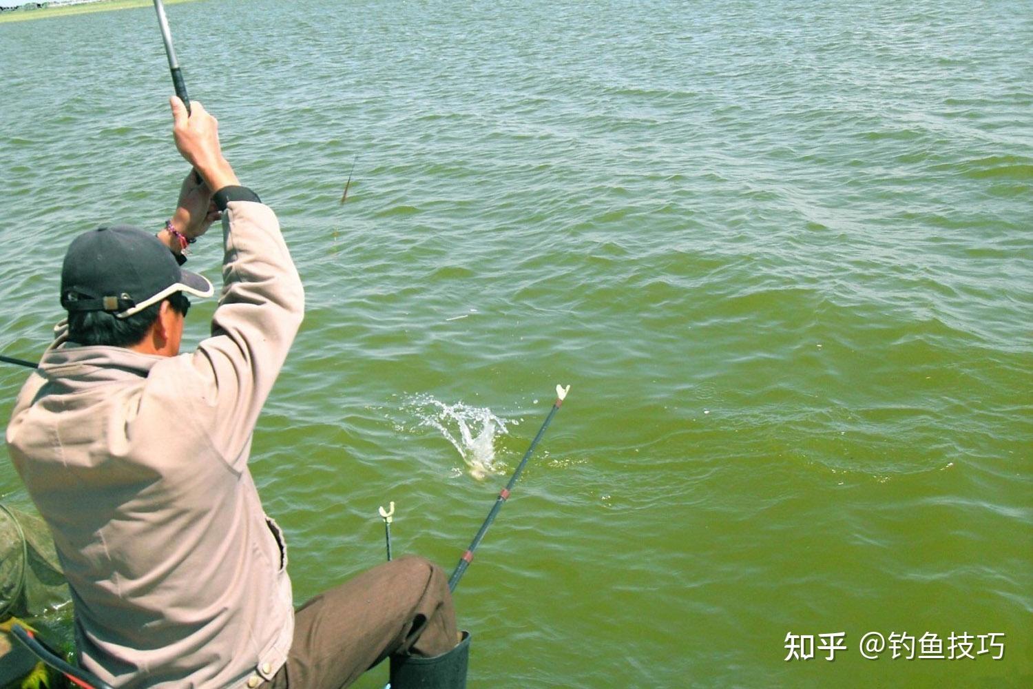 釣魚技巧詳解，如何精準捕捉心儀的魚獲，釣魚技巧全解析，精準捕捉心儀魚獲攻略