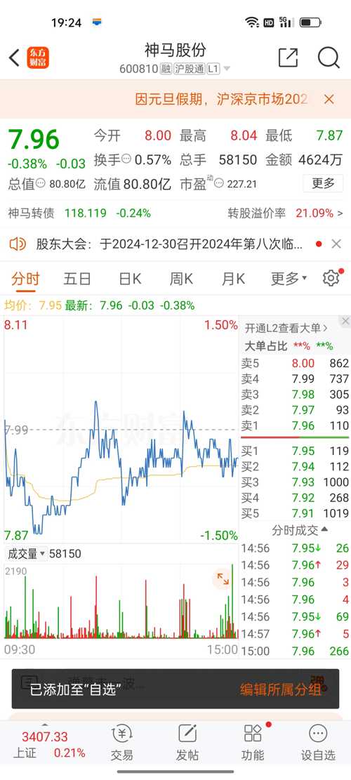 神馬股份（股票代碼，600810）股吧深度解析，神馬股份（股票代碼，600810）股吧全面深度解析