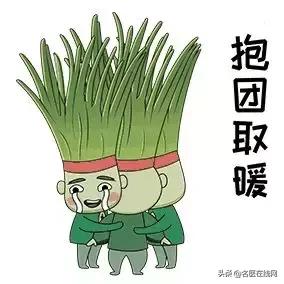 韭菜籽怎么吃壯陽(yáng)效果好，探索韭菜籽的最佳食用方式，韭菜籽壯陽(yáng)食用法，探索最佳食用方式