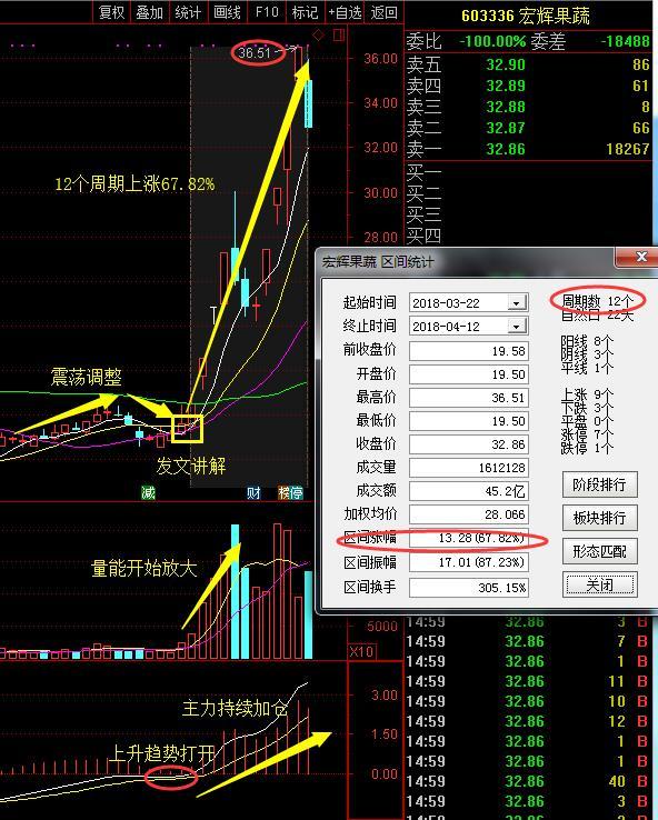 股票603336，深度解析與前景展望，股票603336深度解析與前景展望，投資視角分析