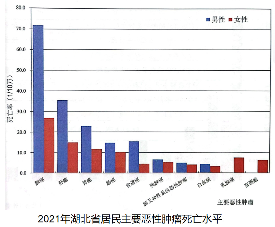 睪丸癌死亡率及其相關(guān)因素探討，睪丸癌死亡率及其影響因素分析