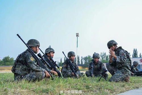 全國雇傭兵征兵網(wǎng)官網(wǎng)，探索現(xiàn)代軍事力量的招募與培養(yǎng)之路，全國雇傭兵征兵網(wǎng)官網(wǎng)，現(xiàn)代軍事力量招募與培養(yǎng)之路探索